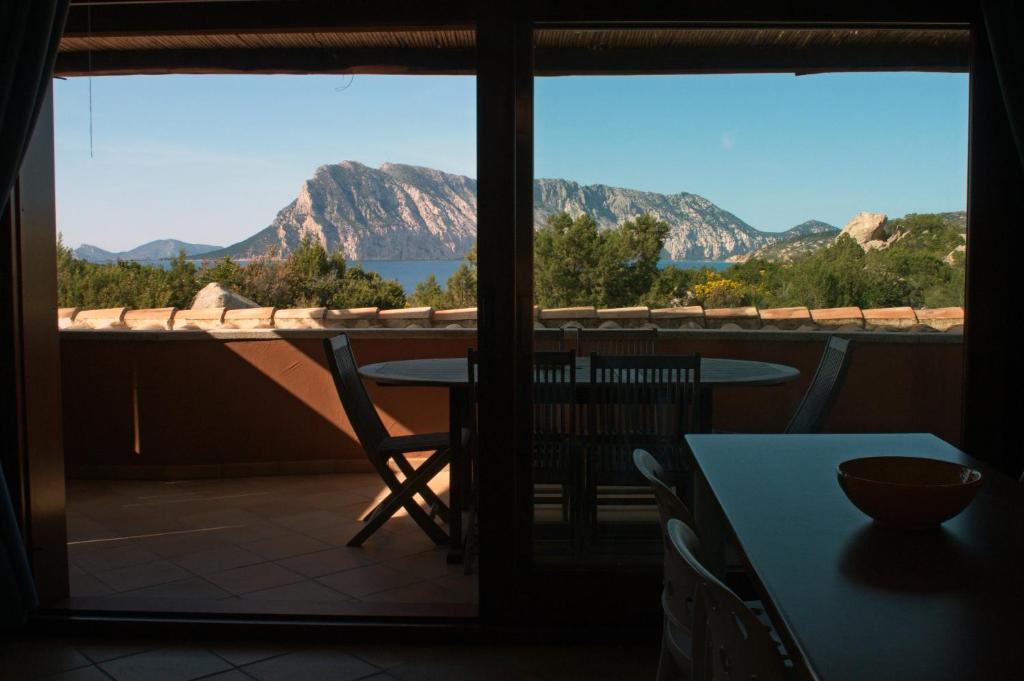 Cala Paradiso Residence San Teodoro  Zimmer foto